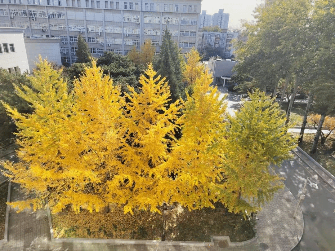 30C9C